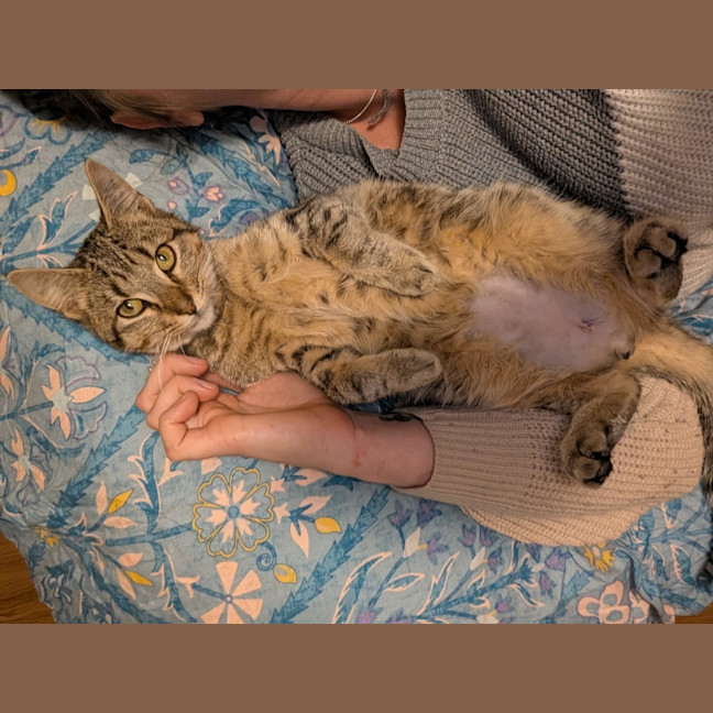 Photo of Butters