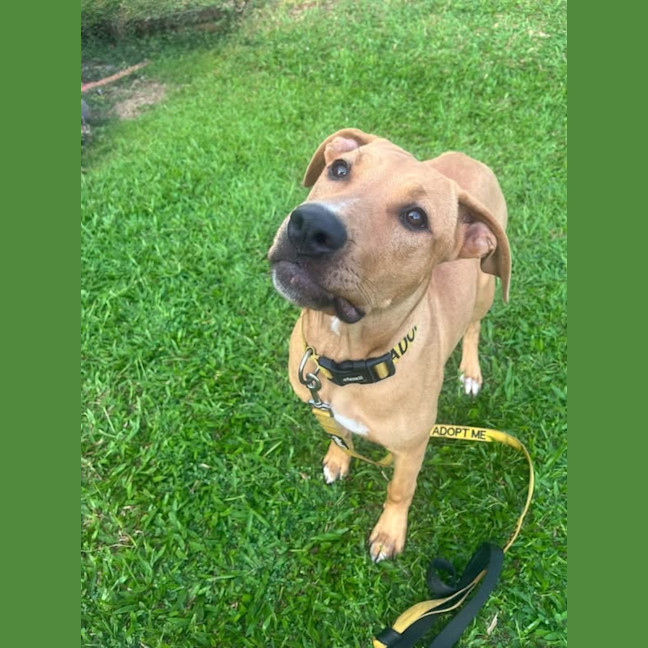 Photo of Lilly 