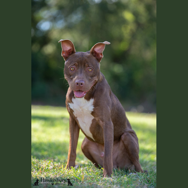 Photo of Jasper