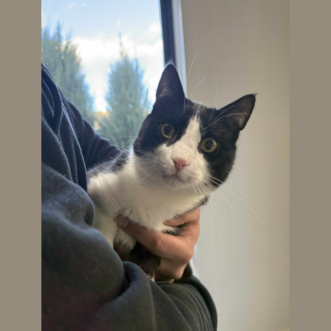 Photo of Pishi & Maloos