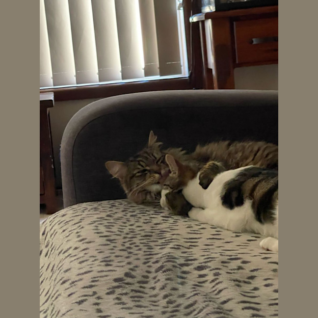 Photo of Ellie & Munchie