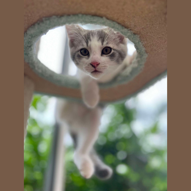 Photo of 💛 Maeve 💛