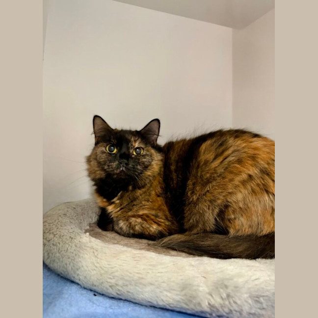 Photo of Mia