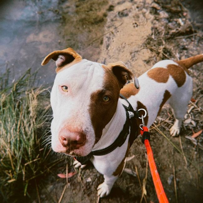 Photo of Jenga