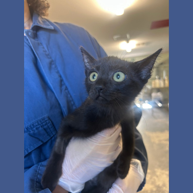 Photo of Makka Pakka