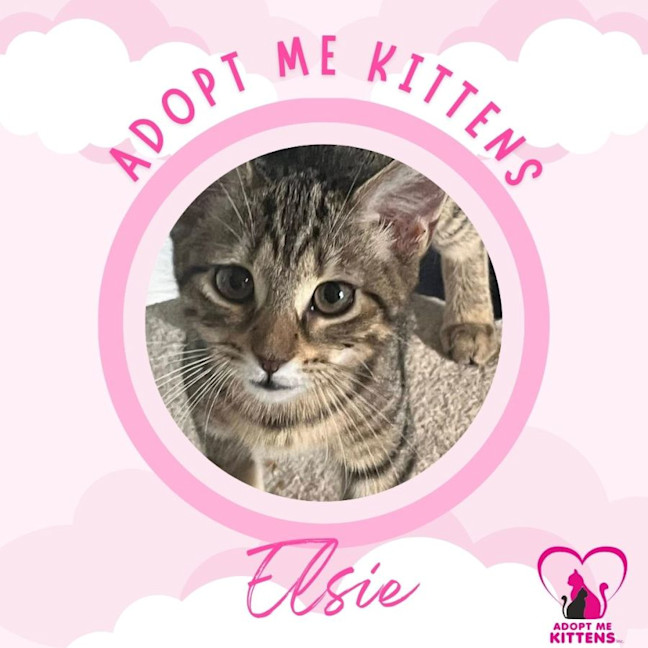 Photo of Elsie 2