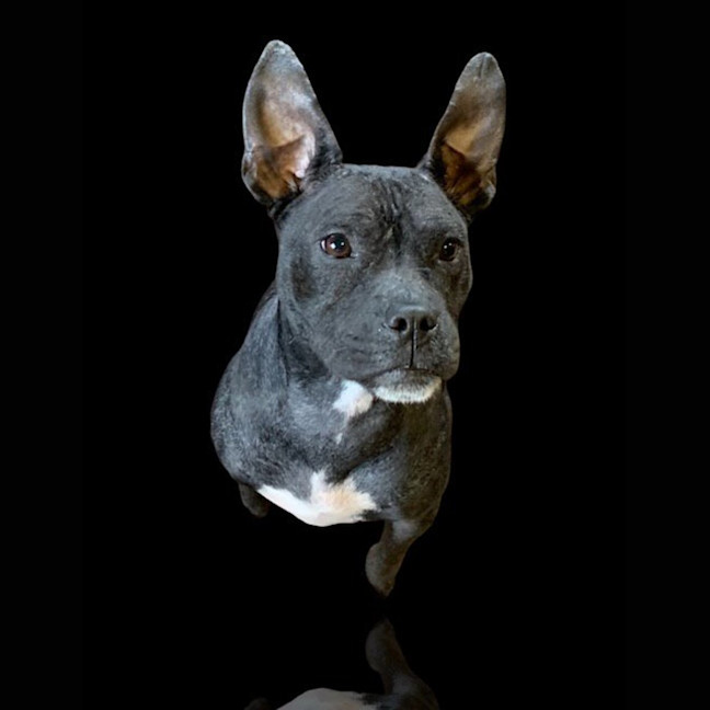 Photo of Tracy