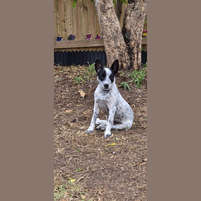Photo of Temu