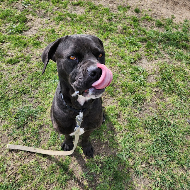 Photo of Freya (66828)