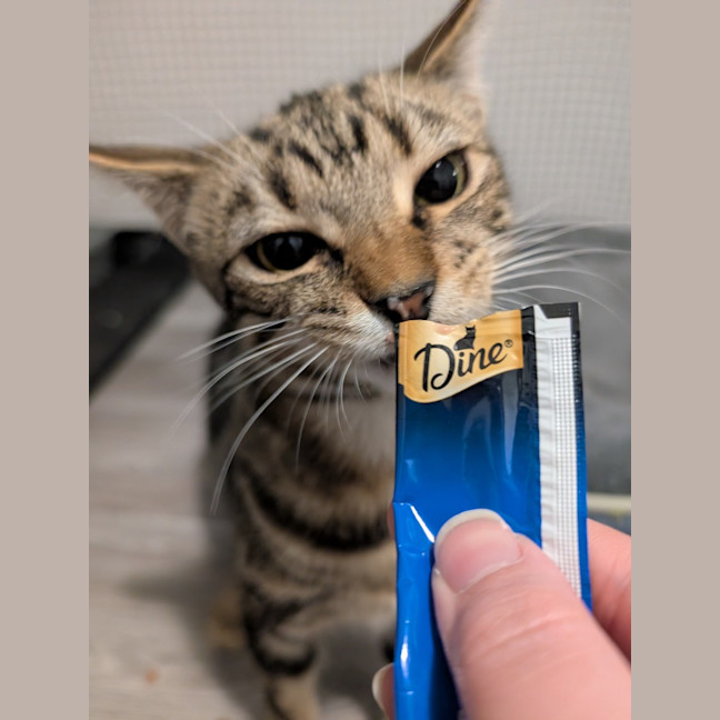 Photo of $180 Snuggles