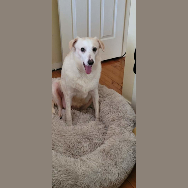 Photo of Possum 💜