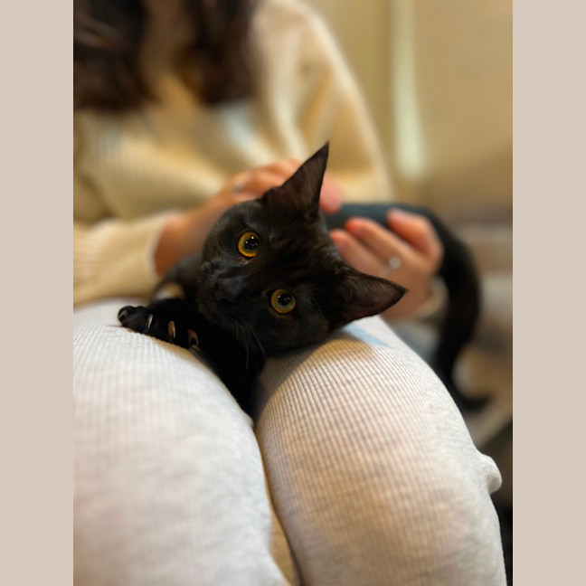 Photo of Annie