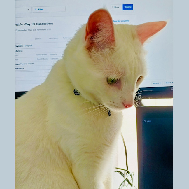 Photo of Barfi