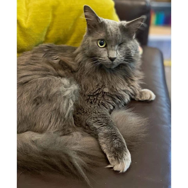 Photo of 11846   Missy