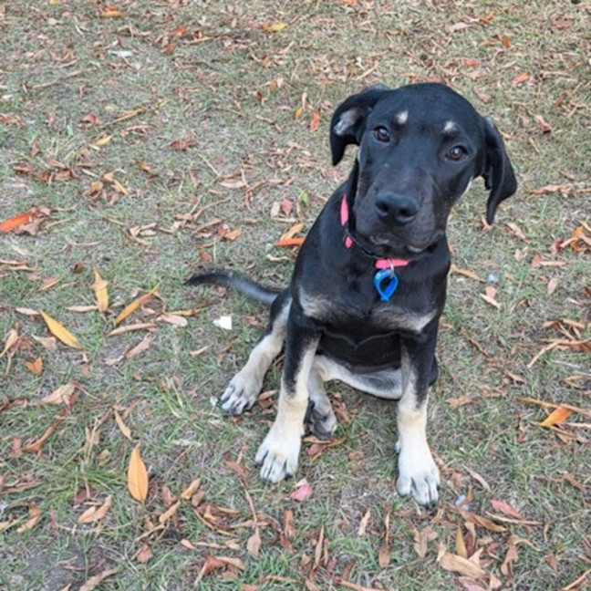 Photo of Cleo