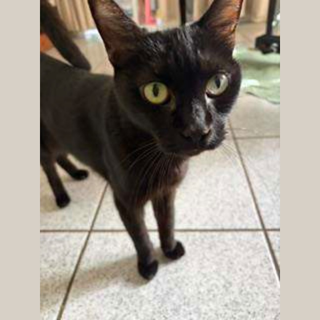 Photo of Penny