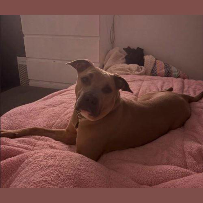 Photo of Zeus