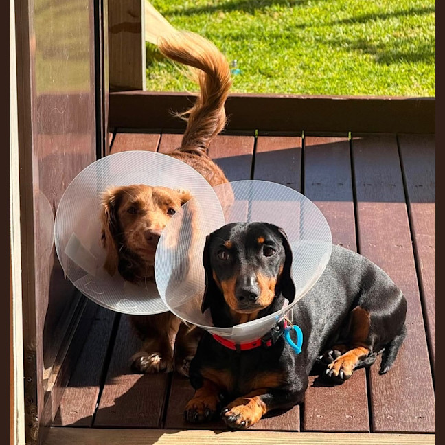 Photo of Axel & Teddy