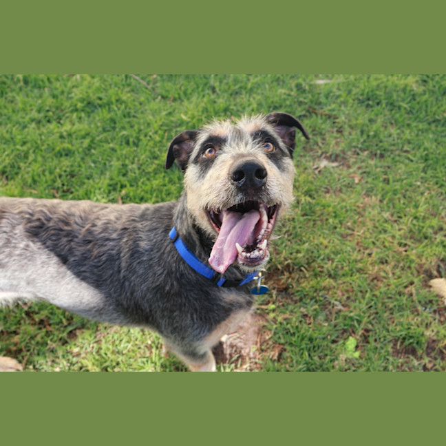 Photo of Dustie