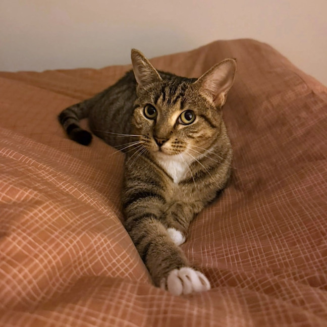Photo of Sally