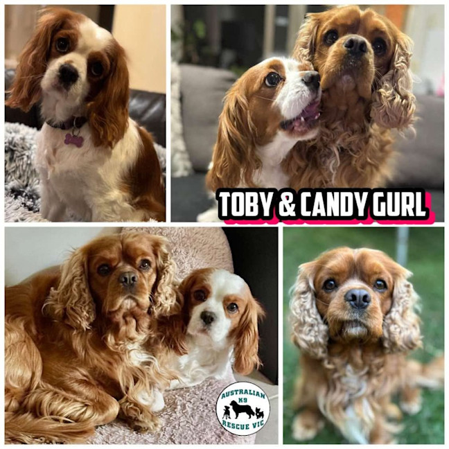 Photo of Toby And Cany Gurl 