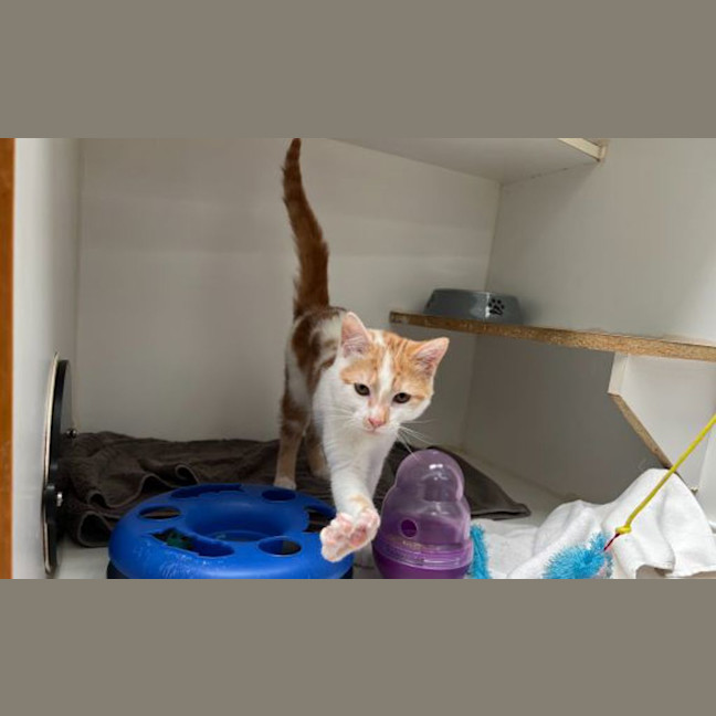 Photo of Bob