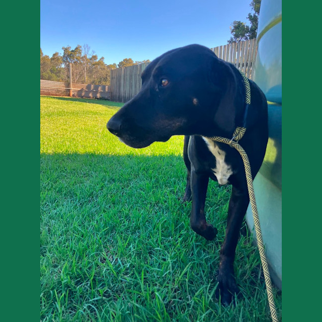 Photo of Blue