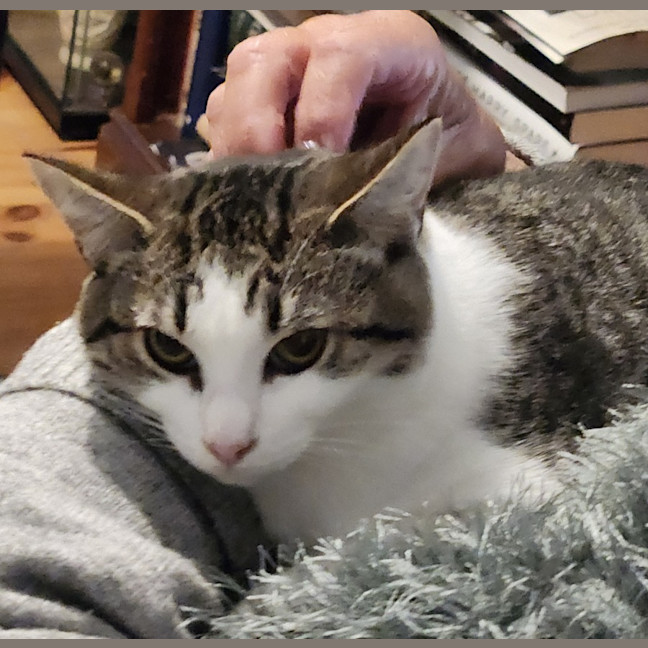Photo of Tilly