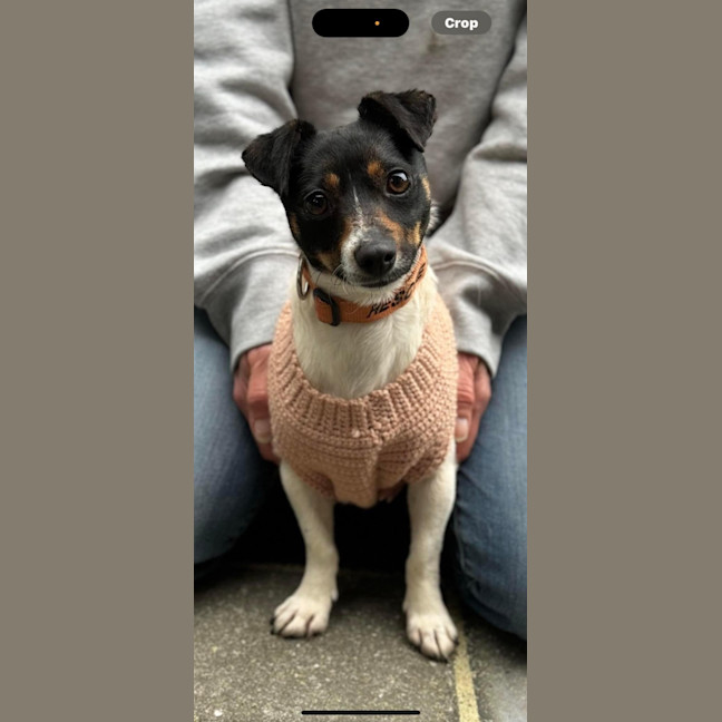 Photo of Little Bean 