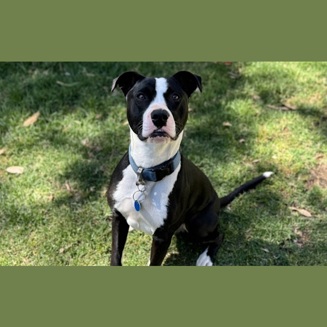 Photo of Jack