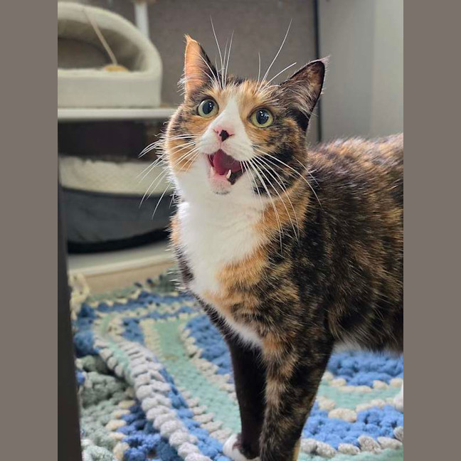 Photo of Kyla