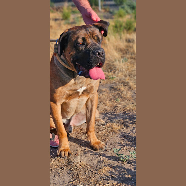 Photo of Ace