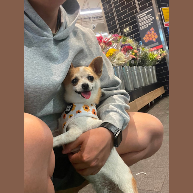 Photo of Mini