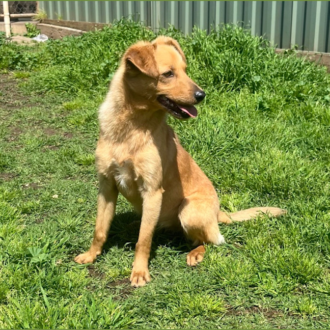 Photo of Miss. Ridgee