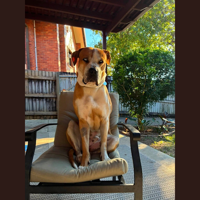 Photo of Benny