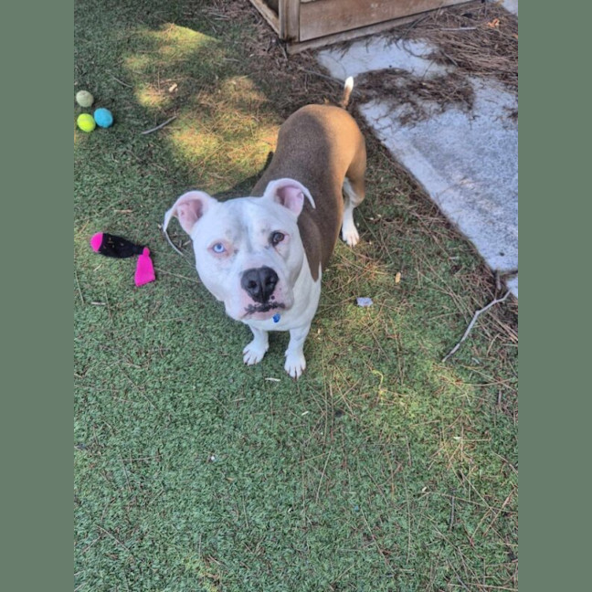 Photo of Lolly