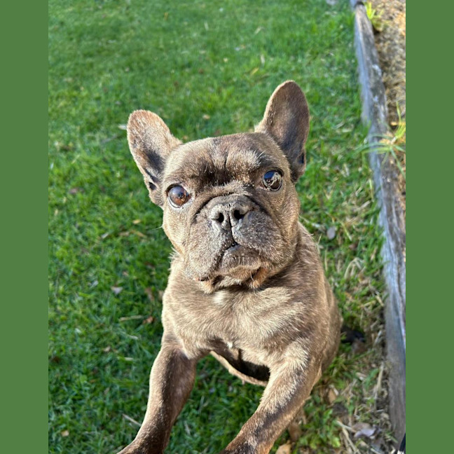 Photo of Maggie And Mr Wiggles