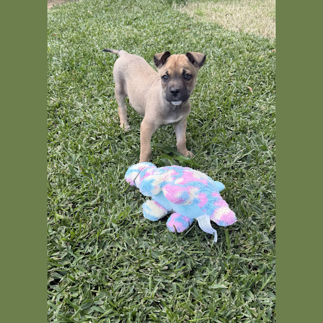 Photo of Hazel