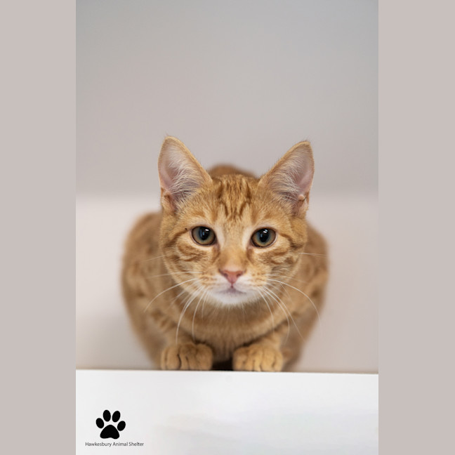 Photo of Velma