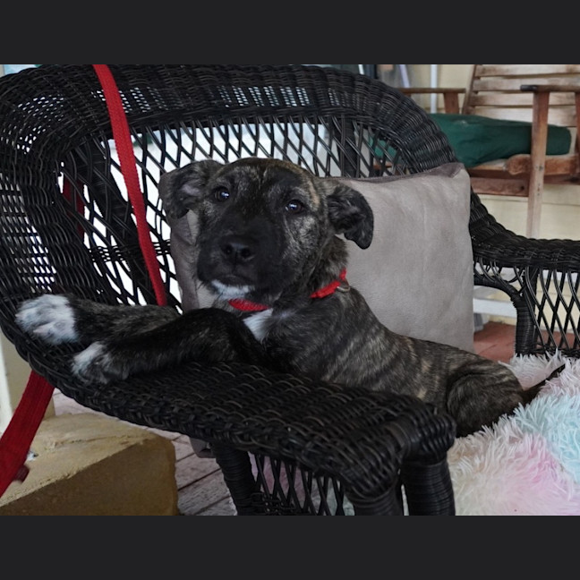 Photo of Winnie