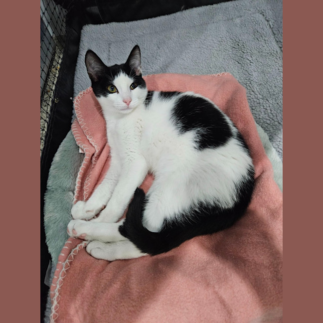 Photo of Mina