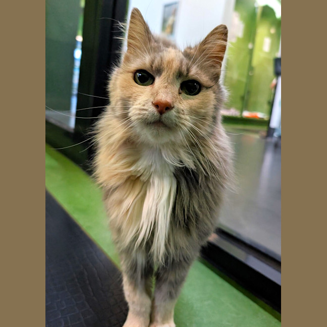 Photo of Missy
