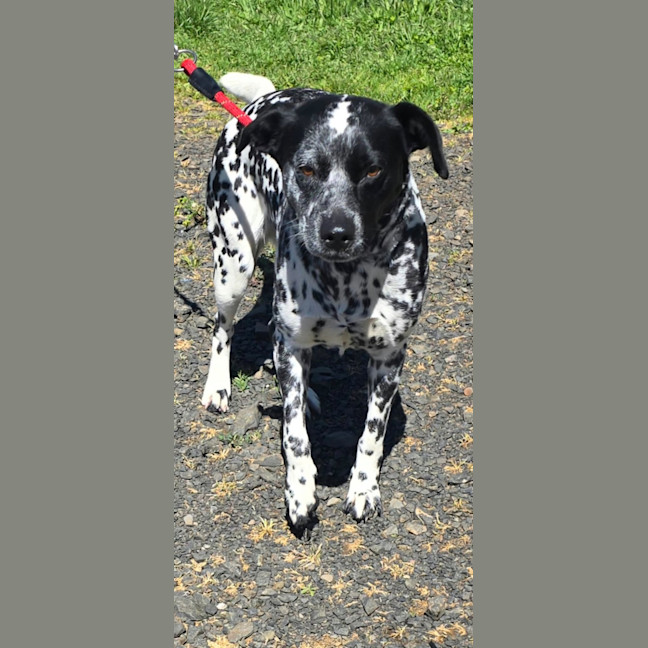 Photo of Zena