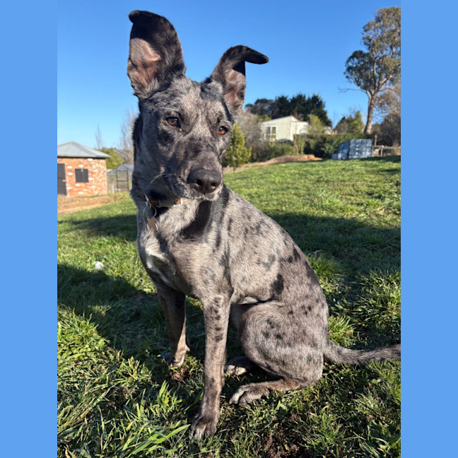 Photo of Mable 