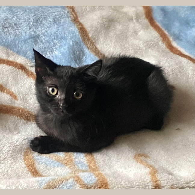 Photo of Tommy Turbo