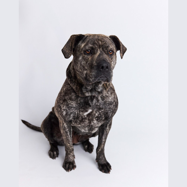 Photo of Milly