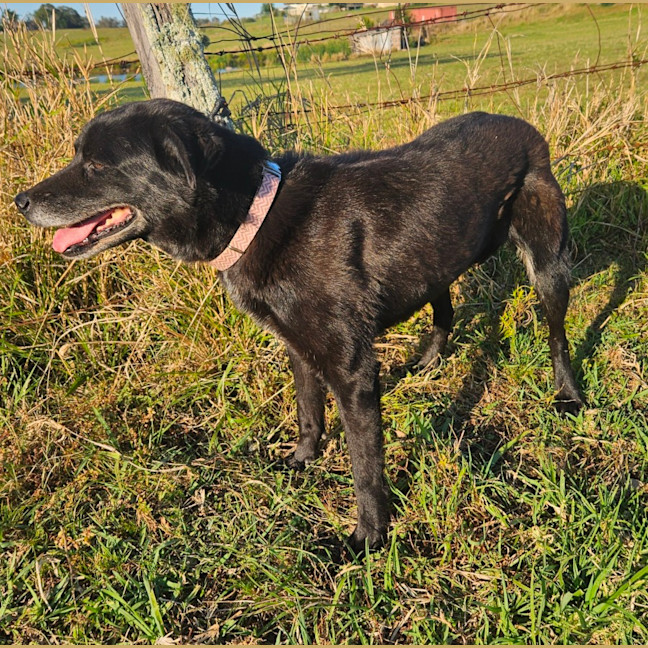 Photo of Zoe