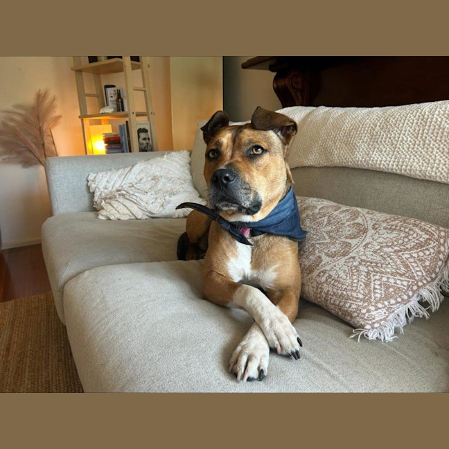 Photo of Chloe Haliwell