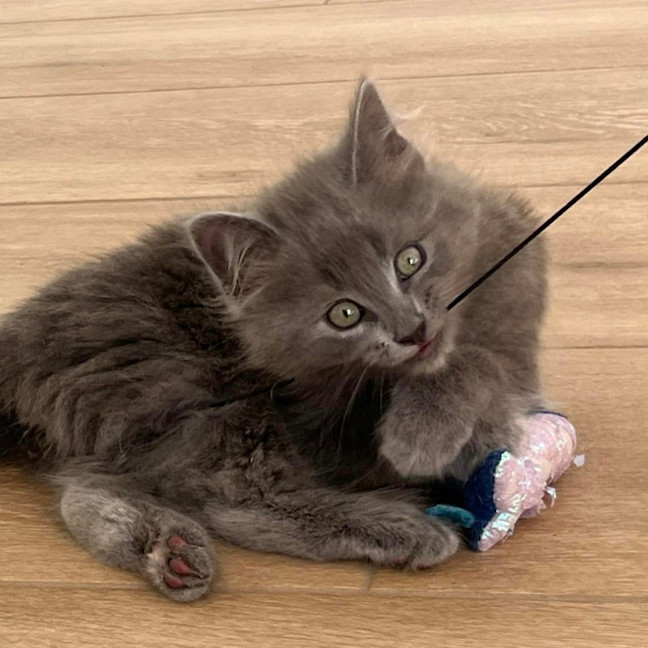 Photo of Cloud