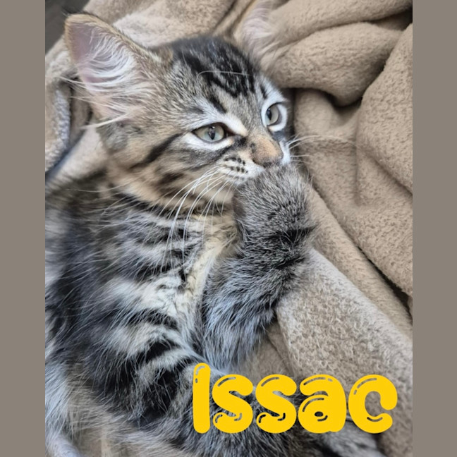 Photo of Issac
